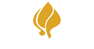 Sanindo Logo